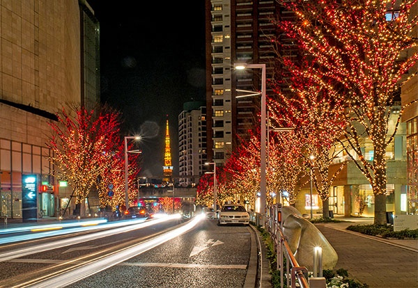 村庄道路亮化